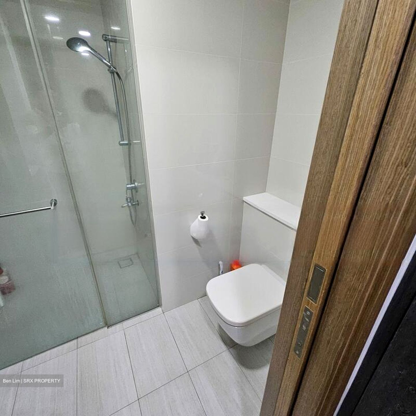 Lakeville (D22), Condominium #561138991